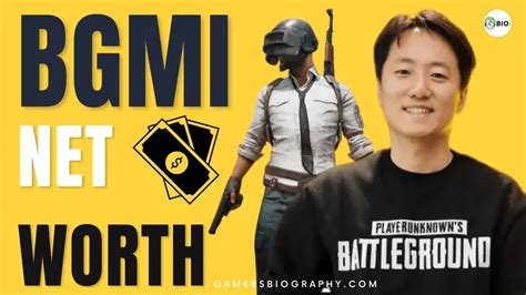 bgmi net worth